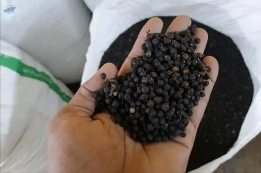 Black Pepper