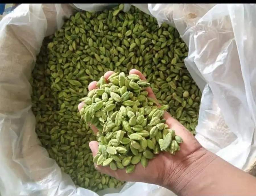 Green Cardamom