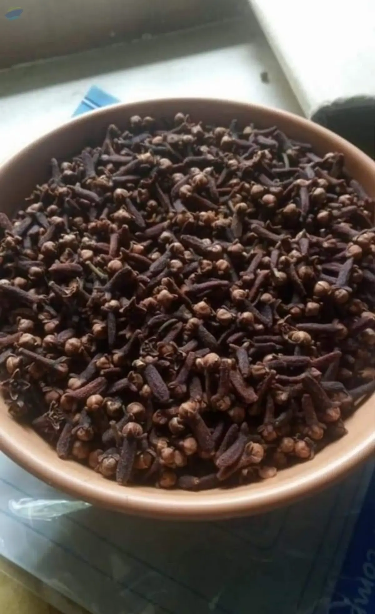 Black Pepper Seeds