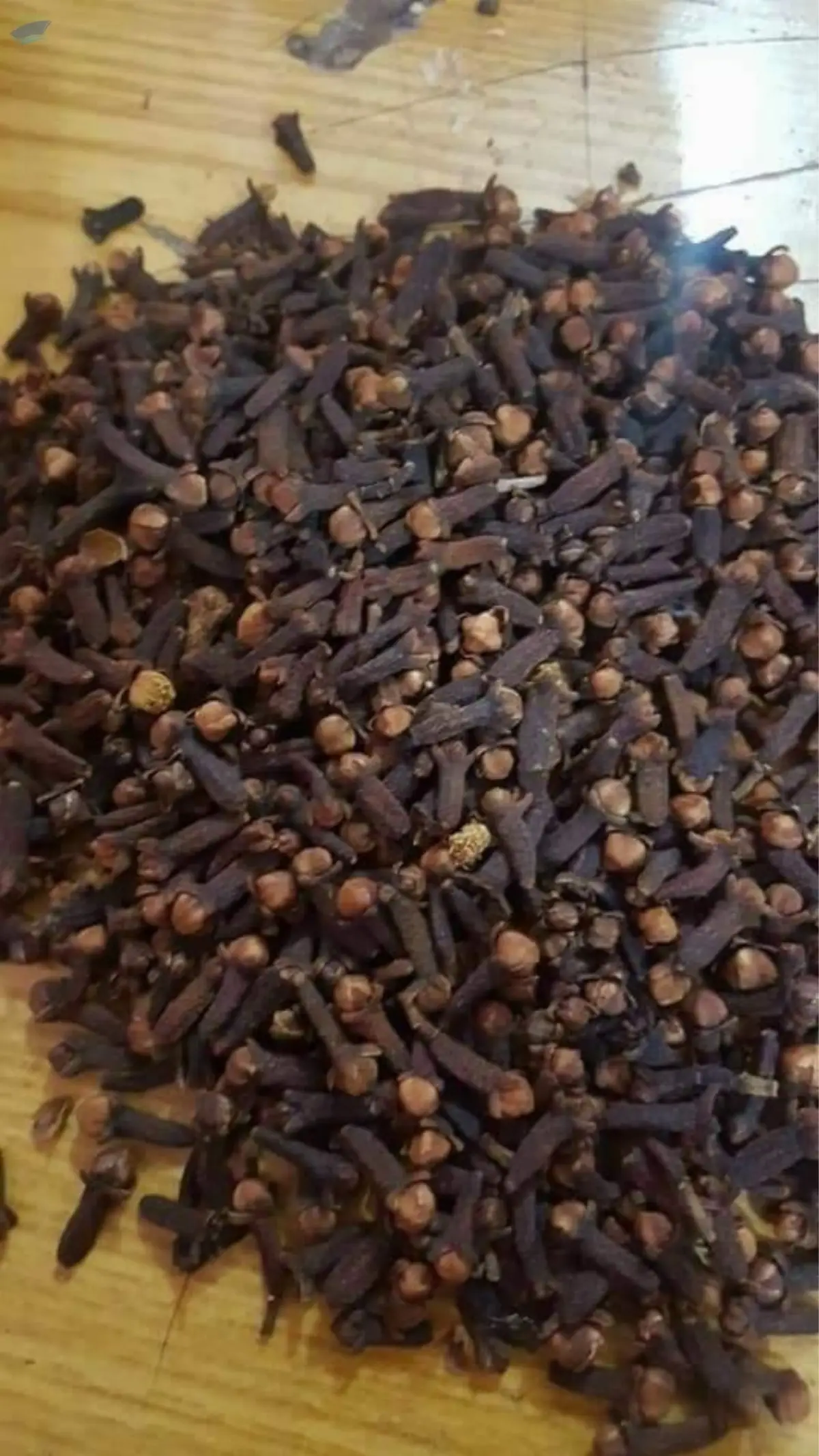 Clove Seeds