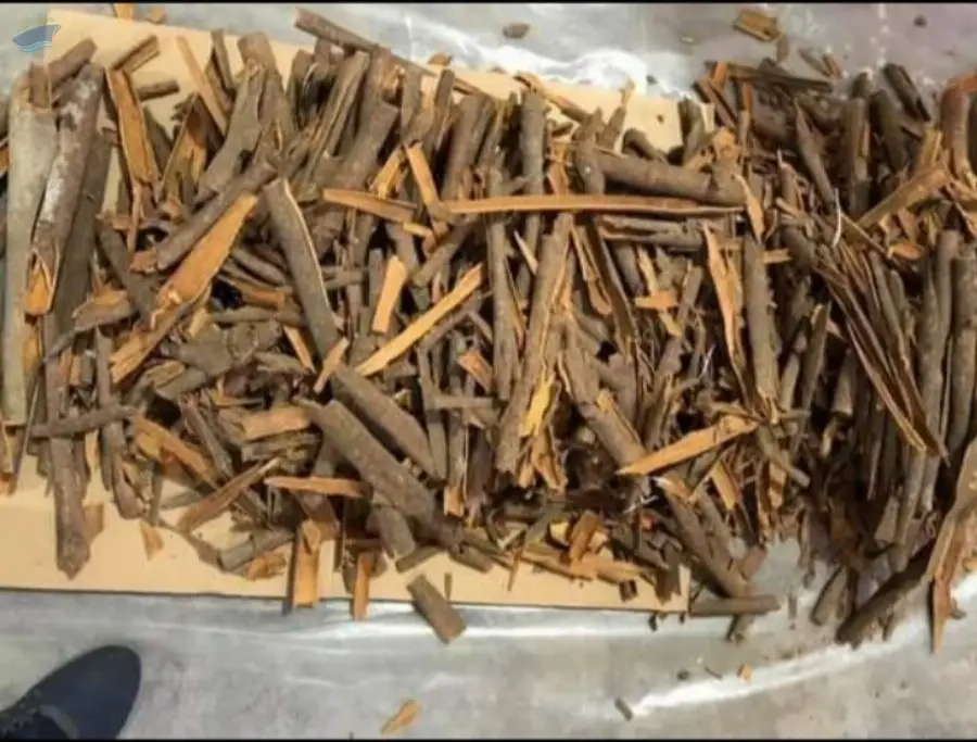 Cinnamon Stick