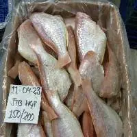 Frozen Japanese Threadfin Bream