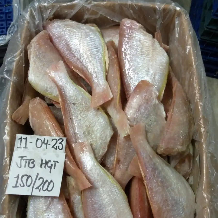 Frozen Japanese Threadfin Bream