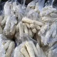 White Corn