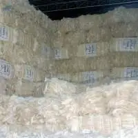 Sisal Fiber
