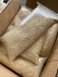 Sesame Seed