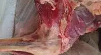 Mutton Meat