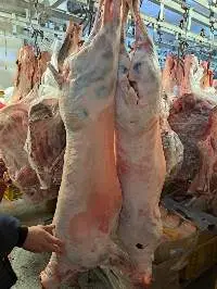 Beef, Lamb