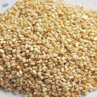 Sesame