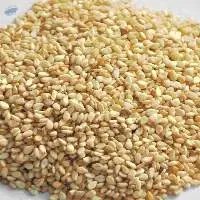 Sesame