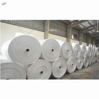 PP Fabric Rolls