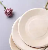 Disposable Paper Plates