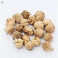 Cardamom