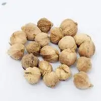 Cardamom