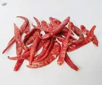 Red Chili