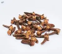 Clove