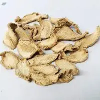 Ginger