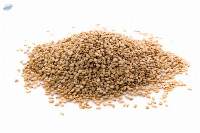 White Sesame