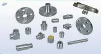 Fittings & Flanges