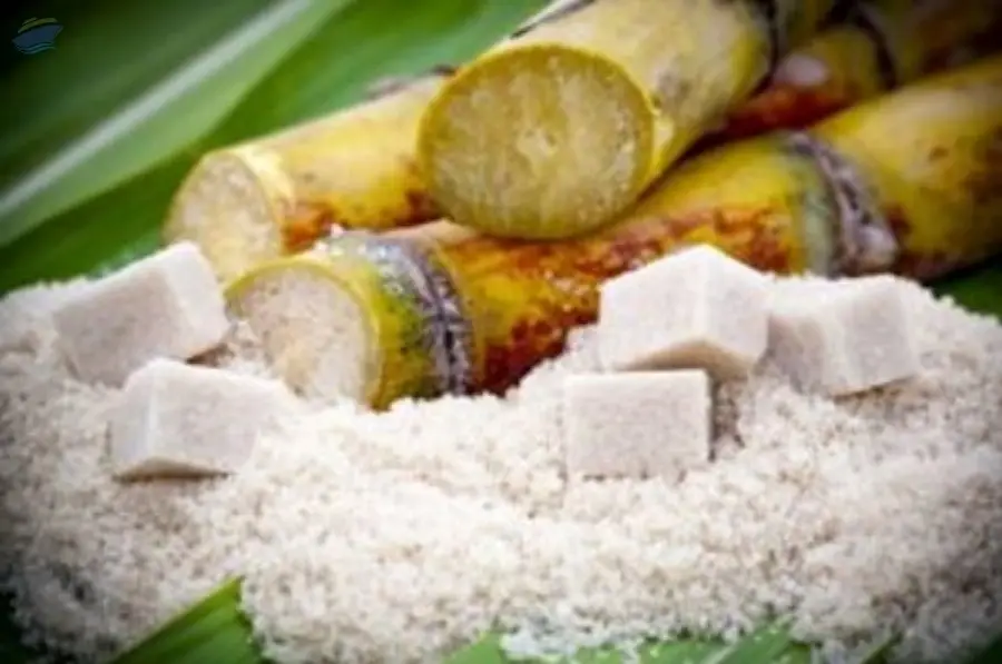 Sugar Icumsa