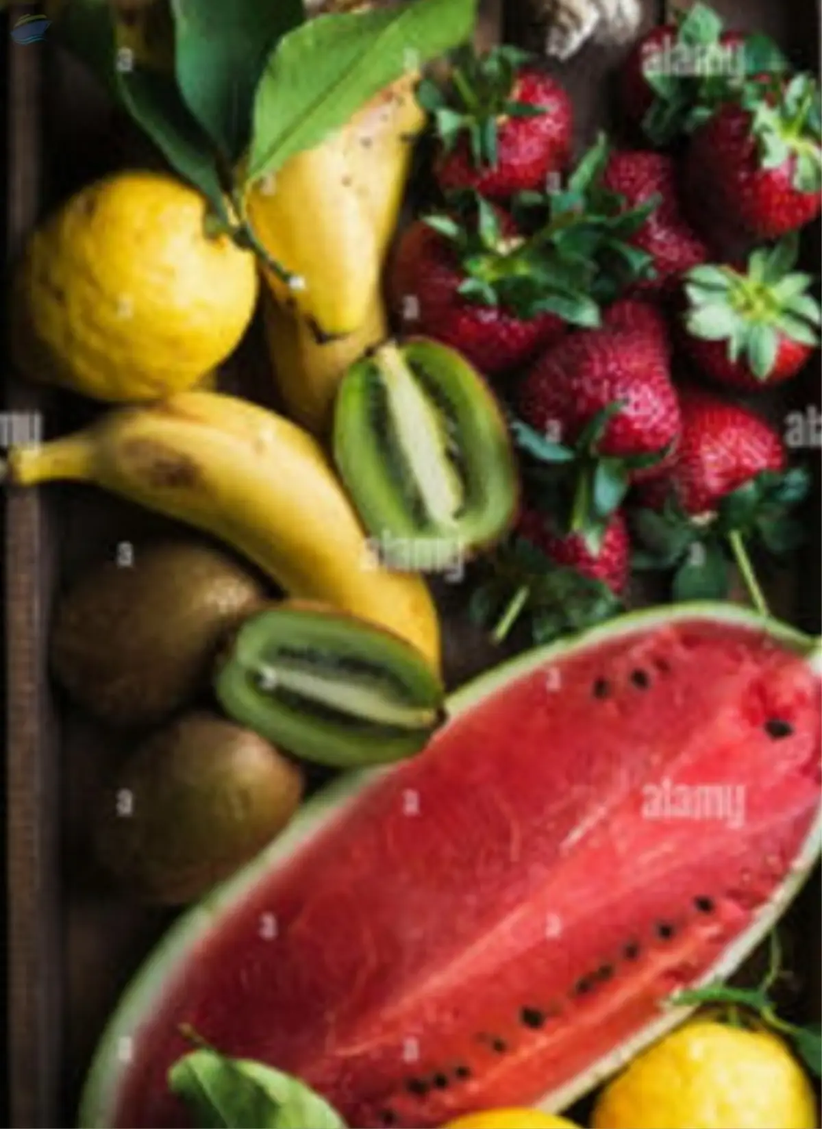 Fruits By A a International B v Supplier From Netherlands Product Id fruits-by-a-a-international-b-v-supplier-from-netherlands-product-id