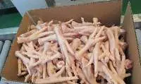 Frozen Halal Chicken & Parts