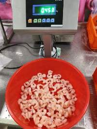 Tiger and Vannamei Shrimp / Prawns