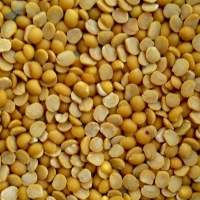 Toor Daal (African And Indian Origin)