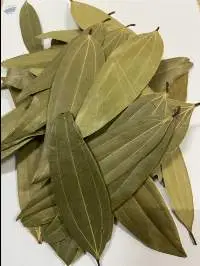 Bay Leaf