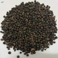 Black Pepper