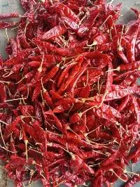 Red Chili Sannam S4