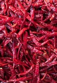 Red Chili Stemless