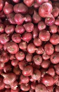 Red Onions