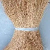 Coco Bristol Fibers