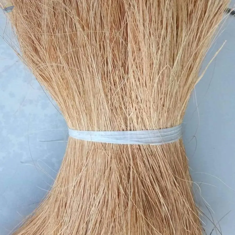 Coco Bristol Fibers