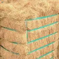 Coco Fiber