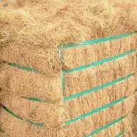 Coco Fibre