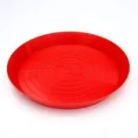 Chicks Feeding Tray