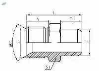 1BW- BSP Male Double X Butt-weld Tube