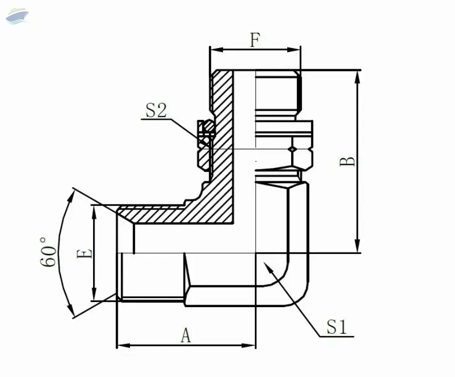 BSP MALE 60 SEAT BSPT MALE O-RING