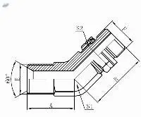 BSP MALE 60 SEAT BSPT MALE O-RING