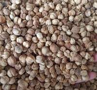 Cardamom / Cardamom
