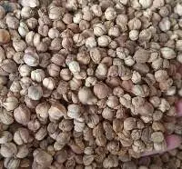Cardamom / Cardamom