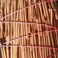 Cinnamon