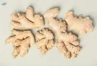 Ginger