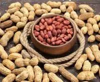 Peanut