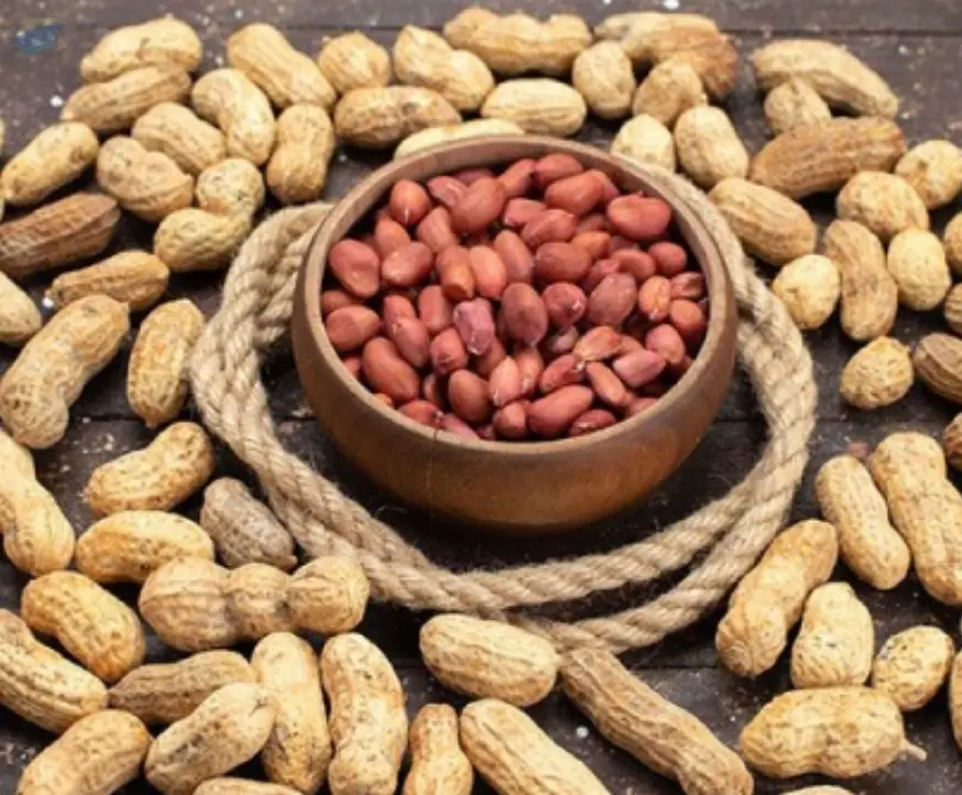 Peanut
