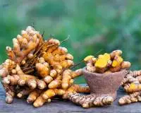Turmeric Root