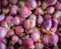 Shallots