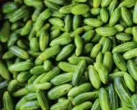 Ivy Gourd